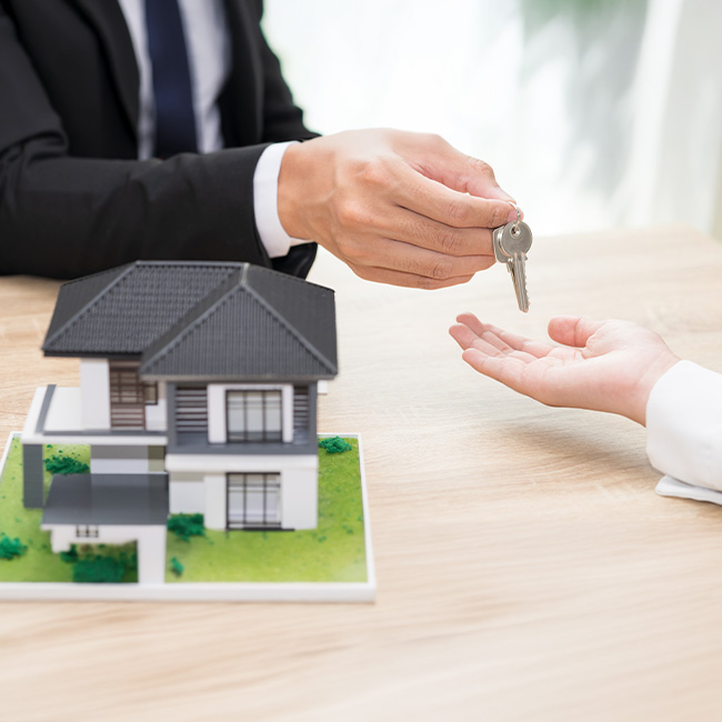 Real Estate & Property