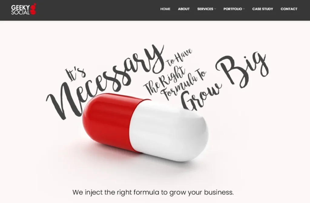 GEEKY Social digital marketing agency in Bangladesh website screenshot